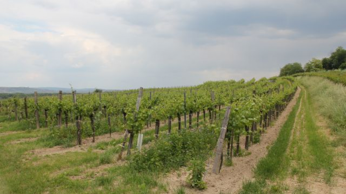 Höhlgraben Höhlgraben